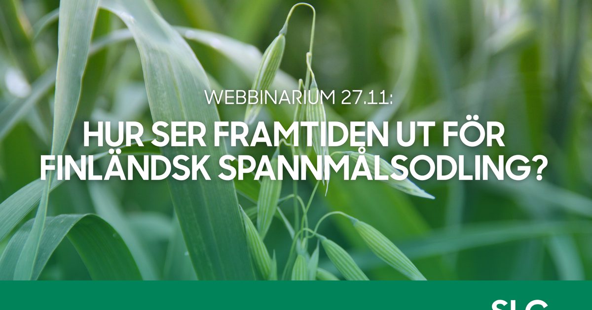 SLC 27 11 Medlemswebbinarium Hur Ser Framtiden Ut F r Finl ndsk slc-27-11-medlemswebbinarium-hur-ser-framtiden-ut-f-r-finl-ndsk
